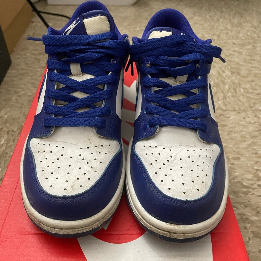 Nike Royal Blue and White Dunks Shoes